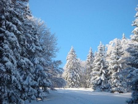 Hotel Restaurant Le Chalet Cortaillod Bagian luar foto