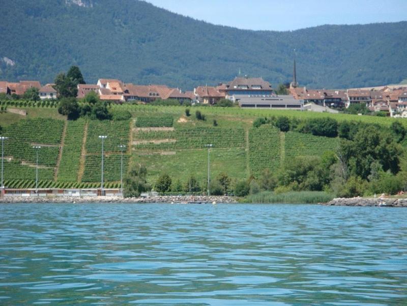 Hotel Restaurant Le Chalet Cortaillod Bagian luar foto